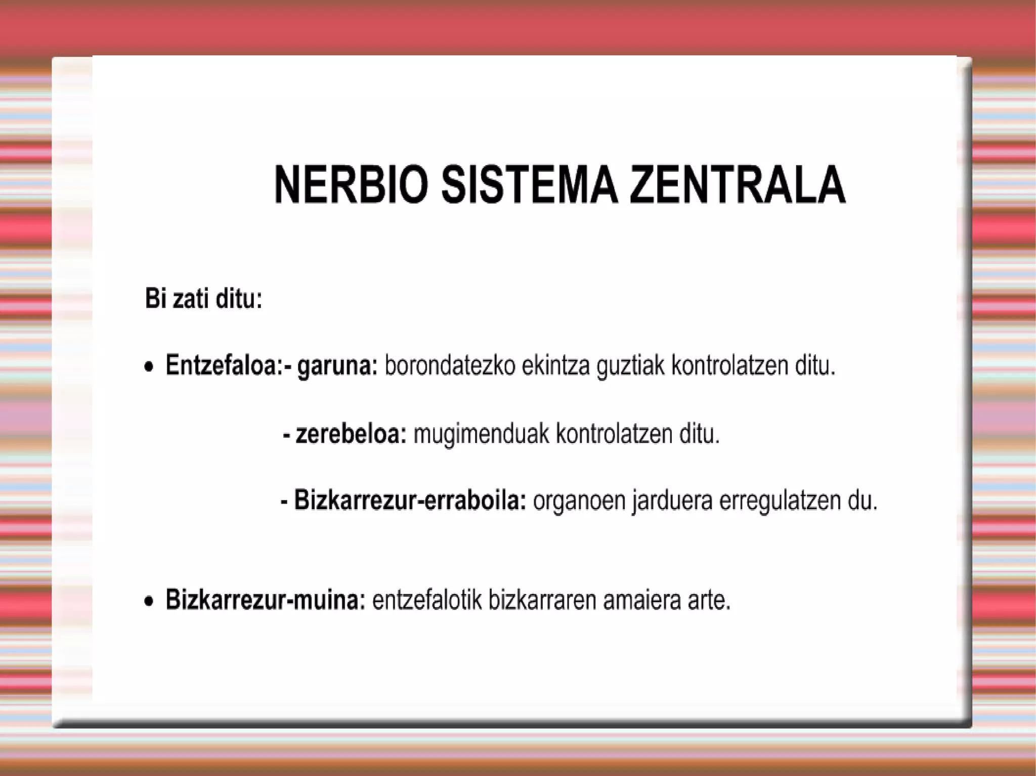 Nerbiosistema dbh3