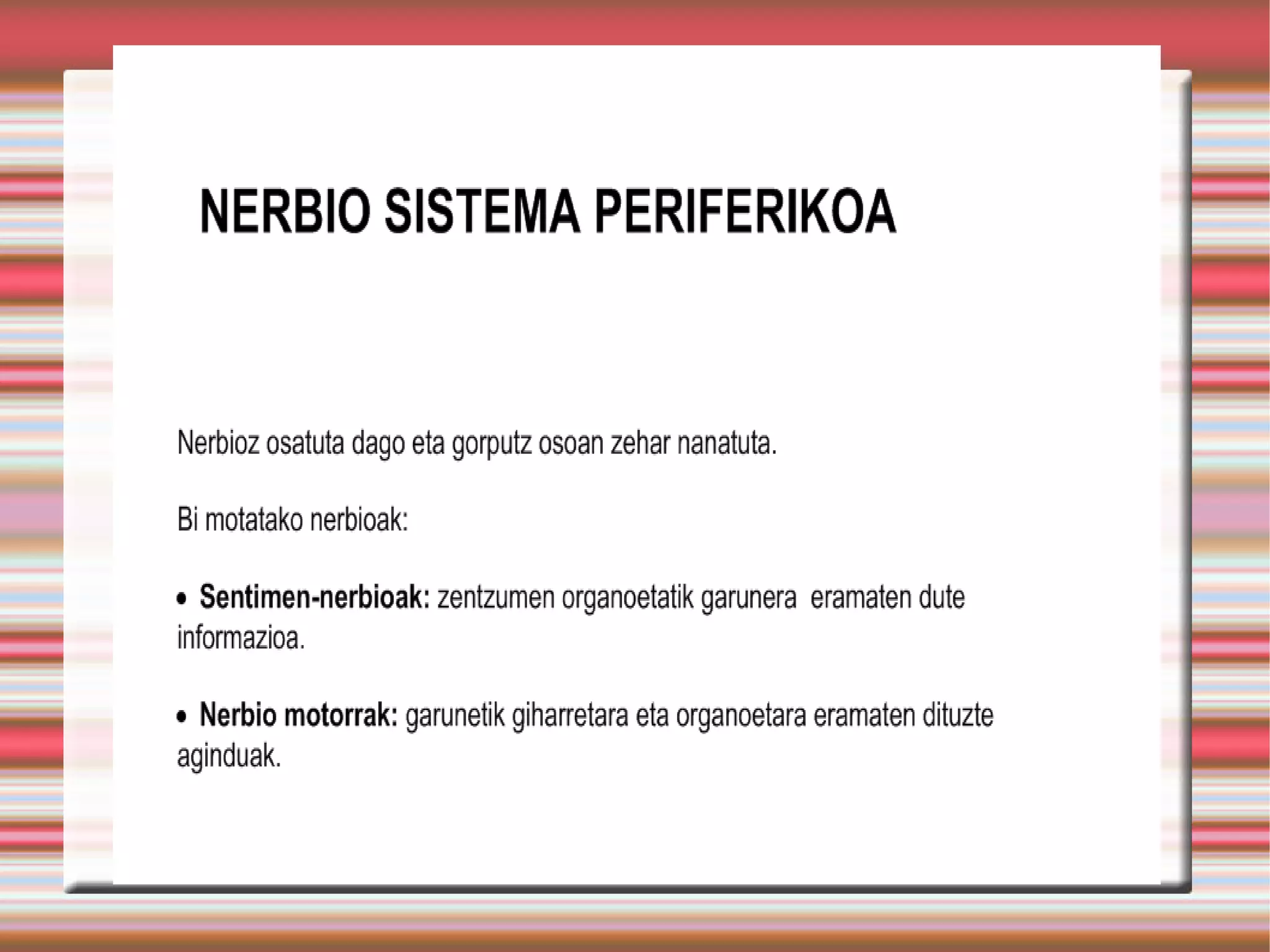 Nerbiosistema dbh3