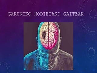 GARUNEKO HODIETAKO GAITZAK
 