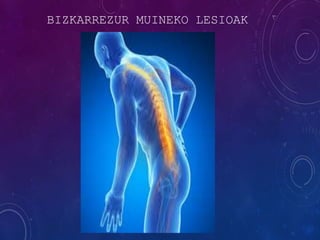 BIZKARREZUR MUINEKO LESIOAK
 
