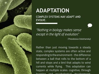 Complexity Explained: A brief intro to complex systems | PDF