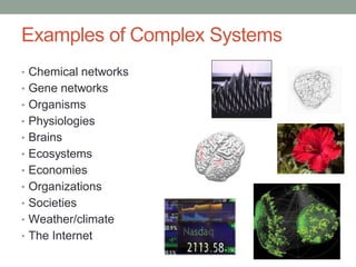 Complexity Explained: A brief intro to complex systems | PPT