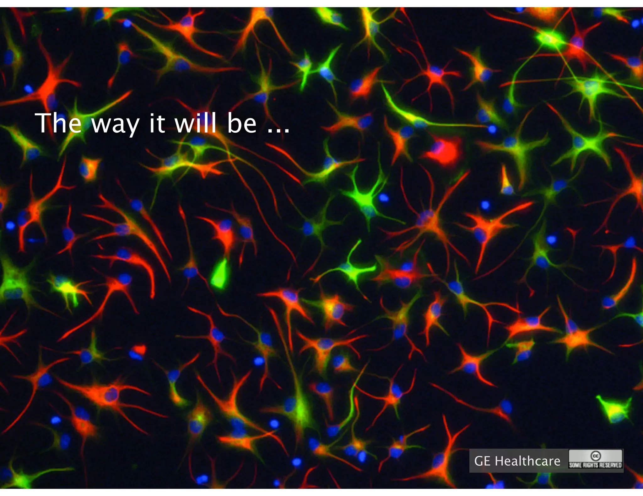 The way it will be ...




                         GE Healthcare
 
