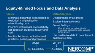 Defining Constituents, Data Vizzes and Telling a Data Story | PDF