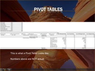PIVOT TABLES




This is what a Pivot Table Looks like.

Numbers above are NOT actual.
 