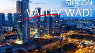 SILICON
VALLEY WADI
 