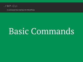Basic Commands 
 