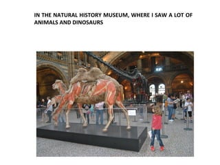 IN THE NATURAL HISTORY MUSEUM, WHERE I SAW A LOT OF
ANIMALS AND DINOSAURS
 