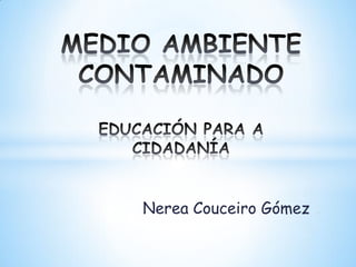 Nerea Couceiro Gómez

.

 