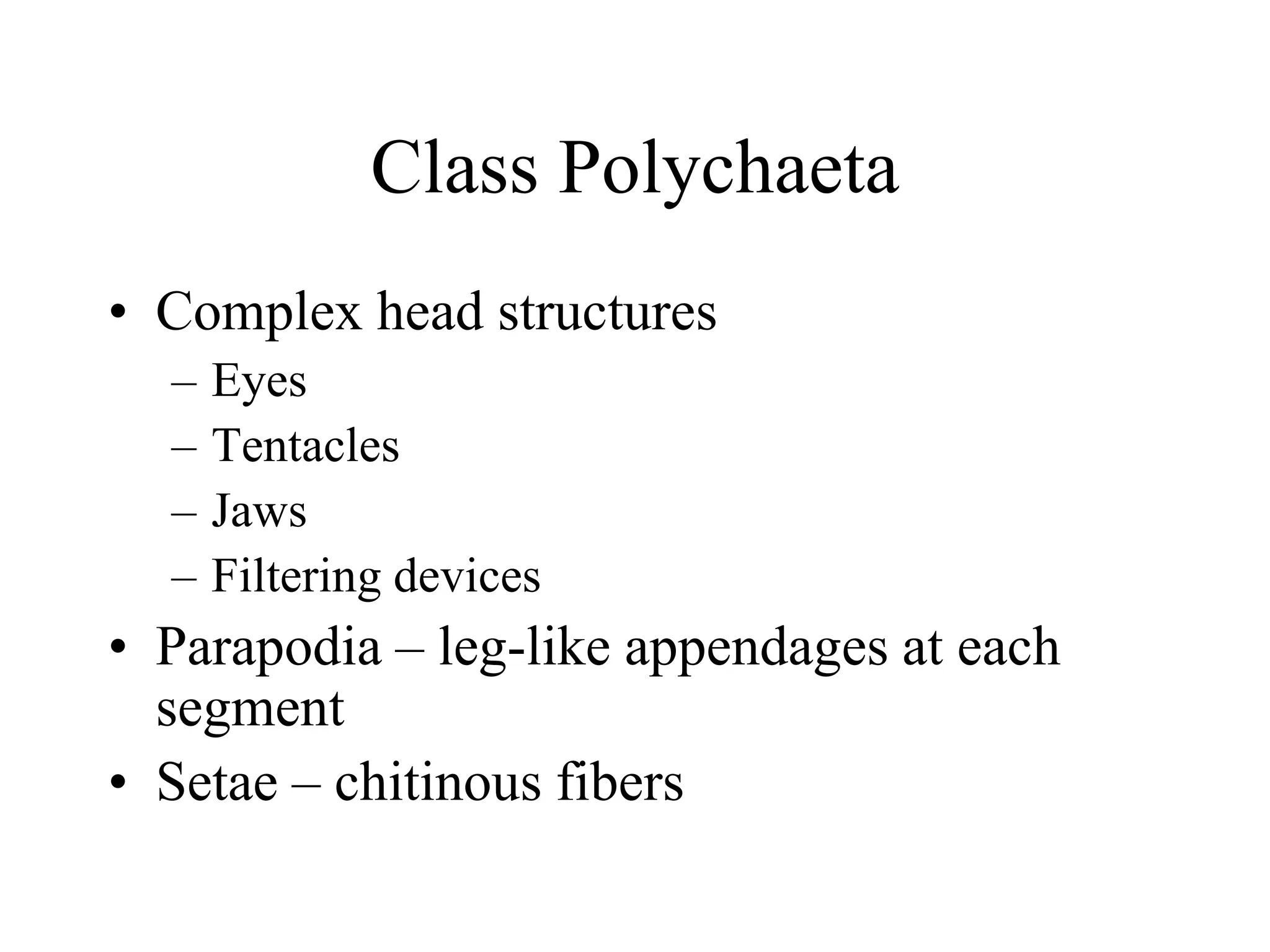 Class Polychaeta
• Complex head structures
– Eyes
– Tentacles
– Jaws
– Filtering devices
• Parapodia – leg-like appendages at each
segment
• Setae – chitinous fibers
 