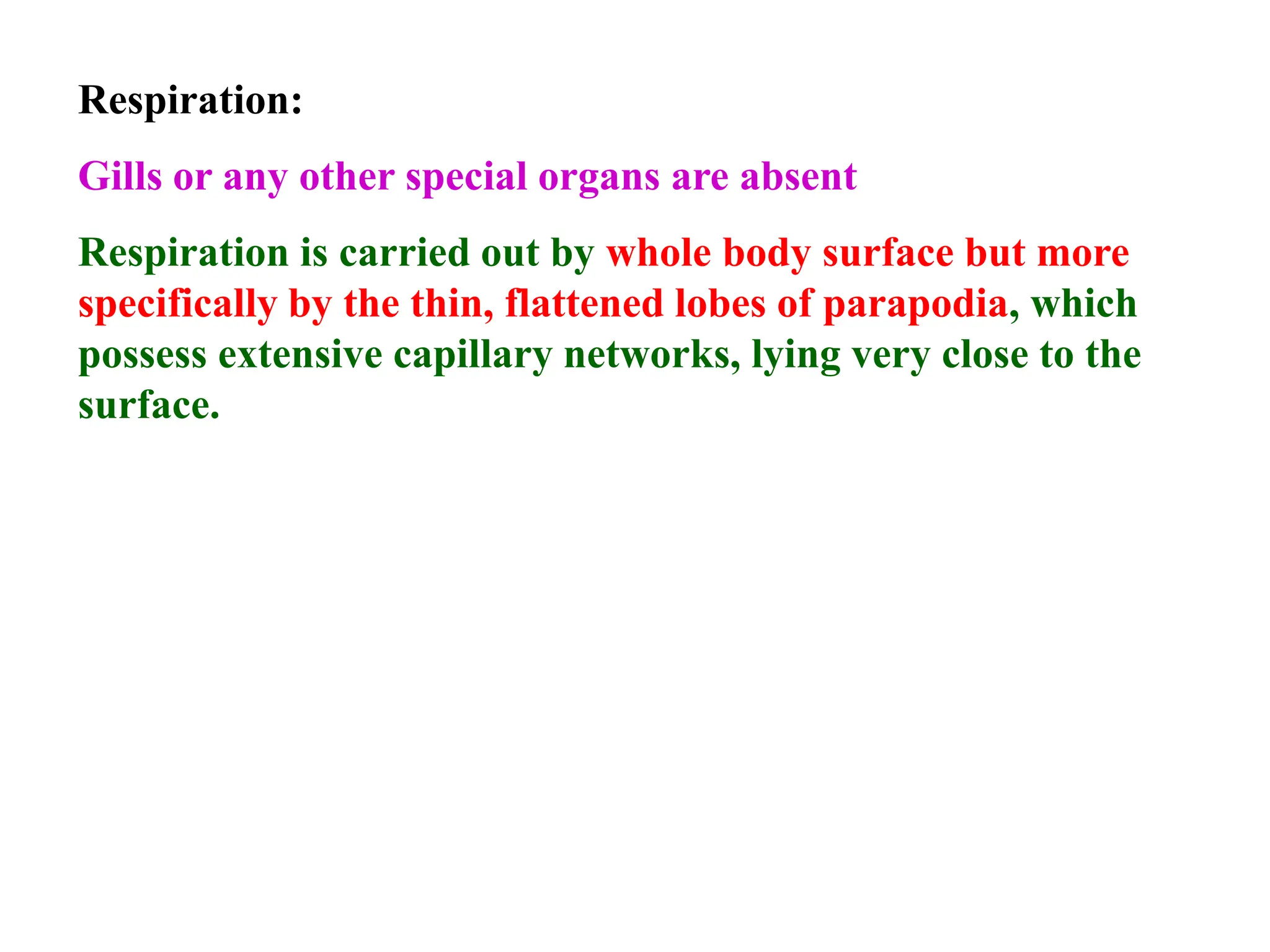 Respiration:
Gills or any other special organs are absent
Respiration is carried out by whole body surface but more
specifically by the thin, flattened lobes of parapodia, which
possess extensive capillary networks, lying very close to the
surface.
 