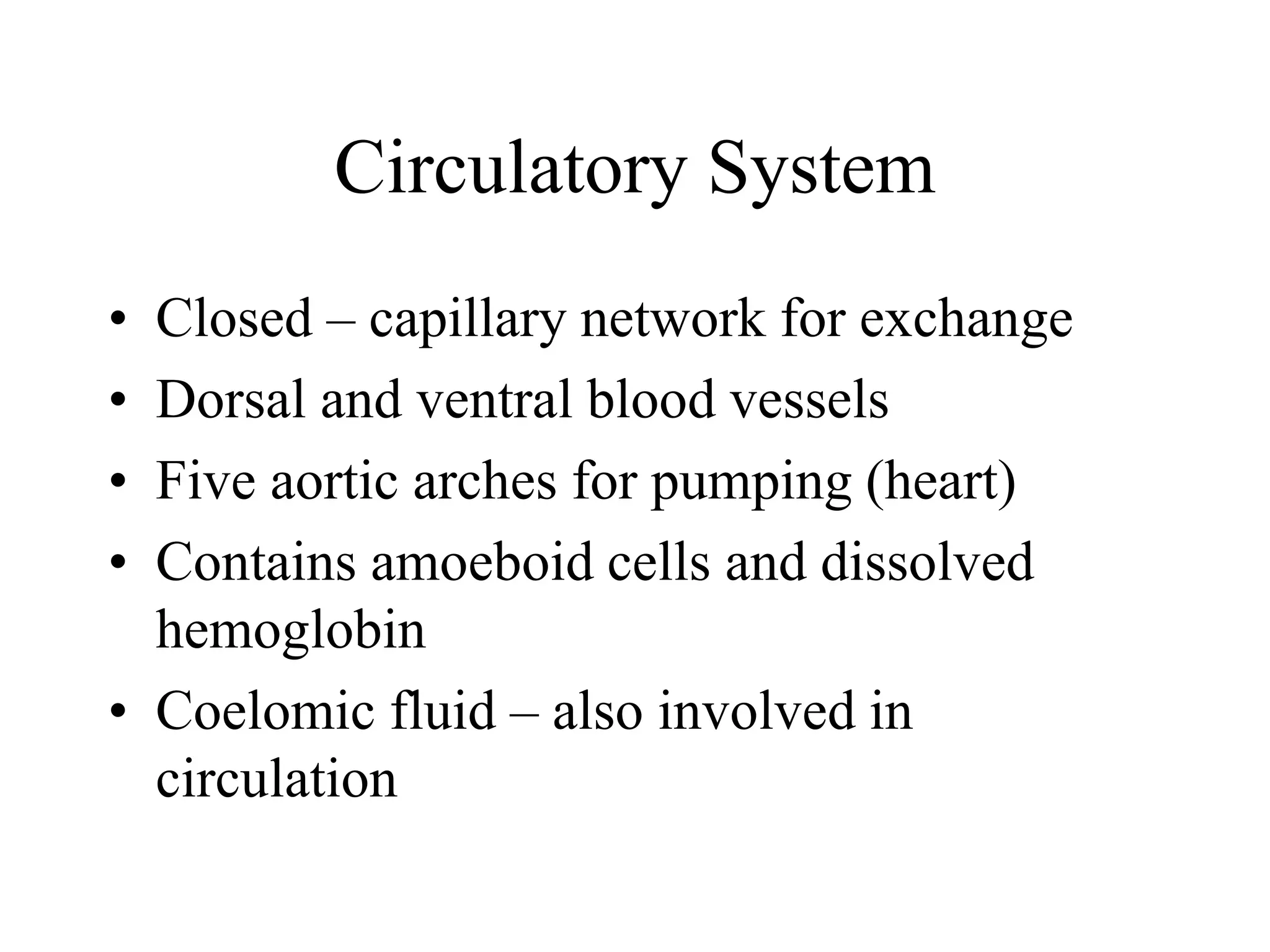 Circulatory System
• Closed – capillary network for exchange
• Dorsal and ventral blood vessels
• Five aortic arches for pumping (heart)
• Contains amoeboid cells and dissolved
hemoglobin
• Coelomic fluid – also involved in
circulation
 