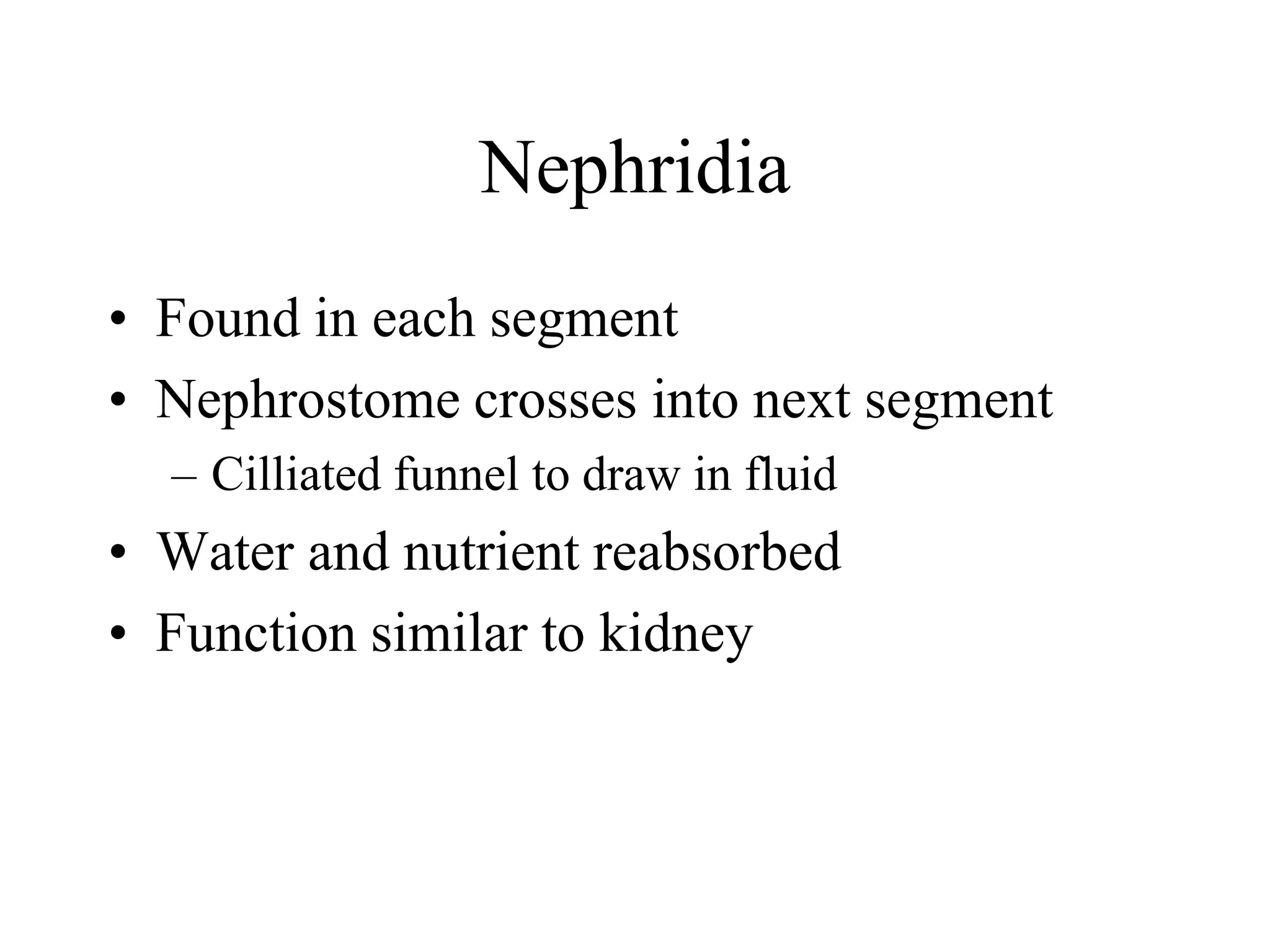 Nephridia
• Found in each segment
• Nephrostome crosses into next segment
– Cilliated funnel to draw in fluid
• Water and nutrient reabsorbed
• Function similar to kidney
 