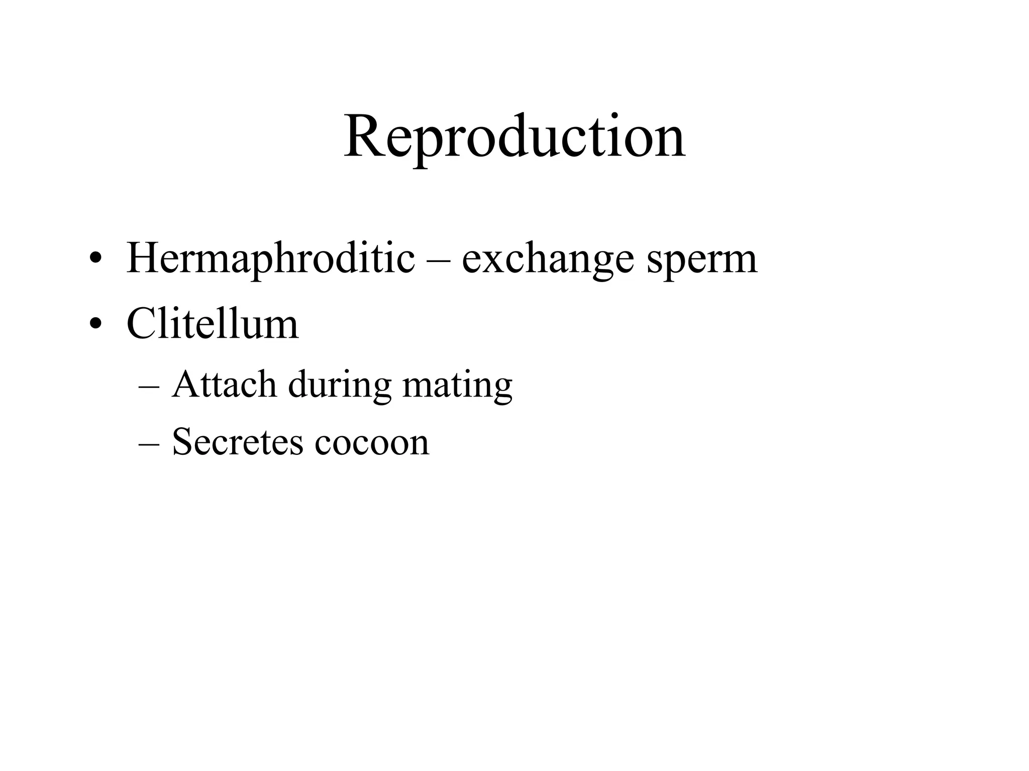 Reproduction
• Hermaphroditic – exchange sperm
• Clitellum
– Attach during mating
– Secretes cocoon
 