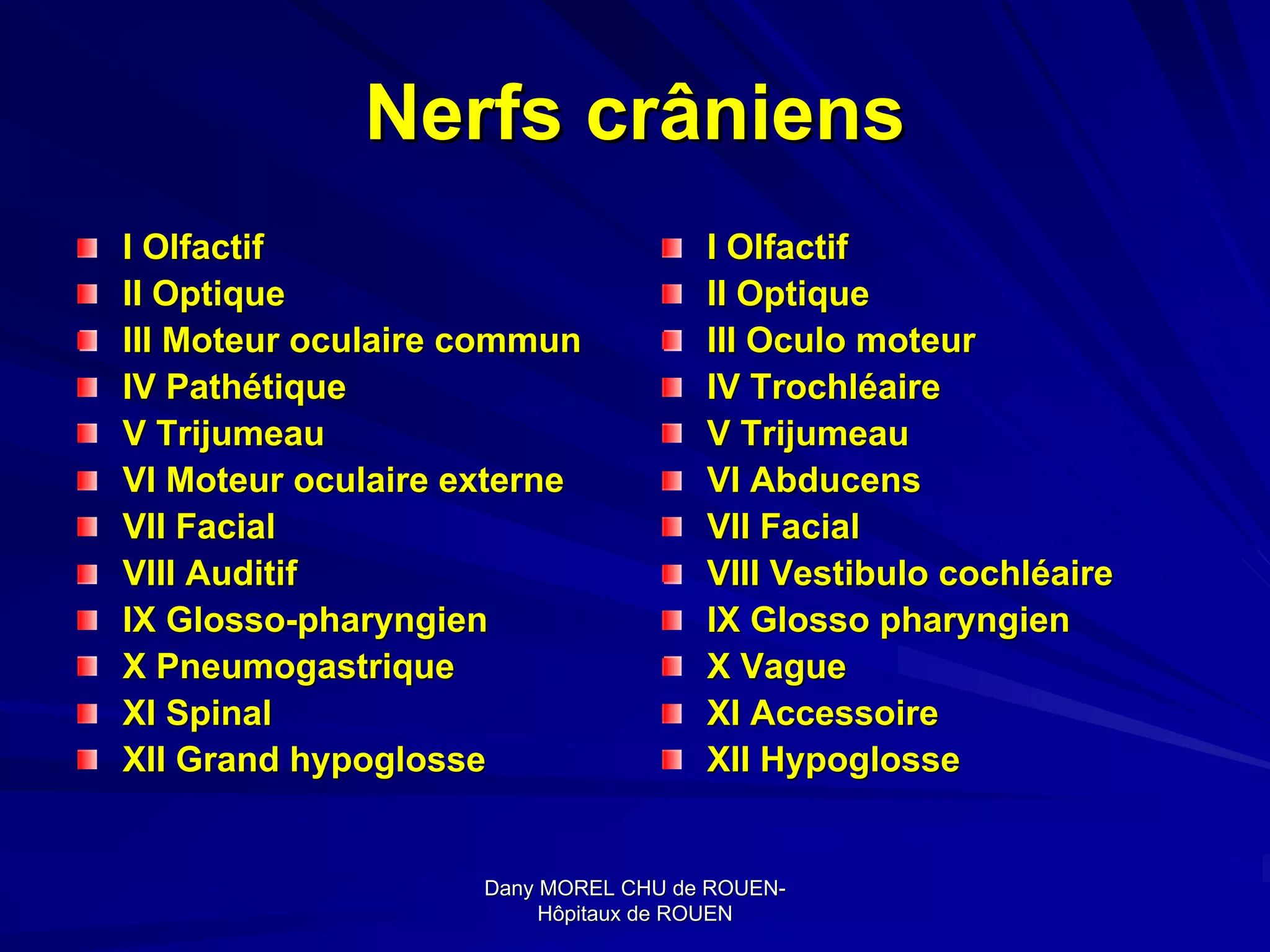 Nerfs craniens | PDF