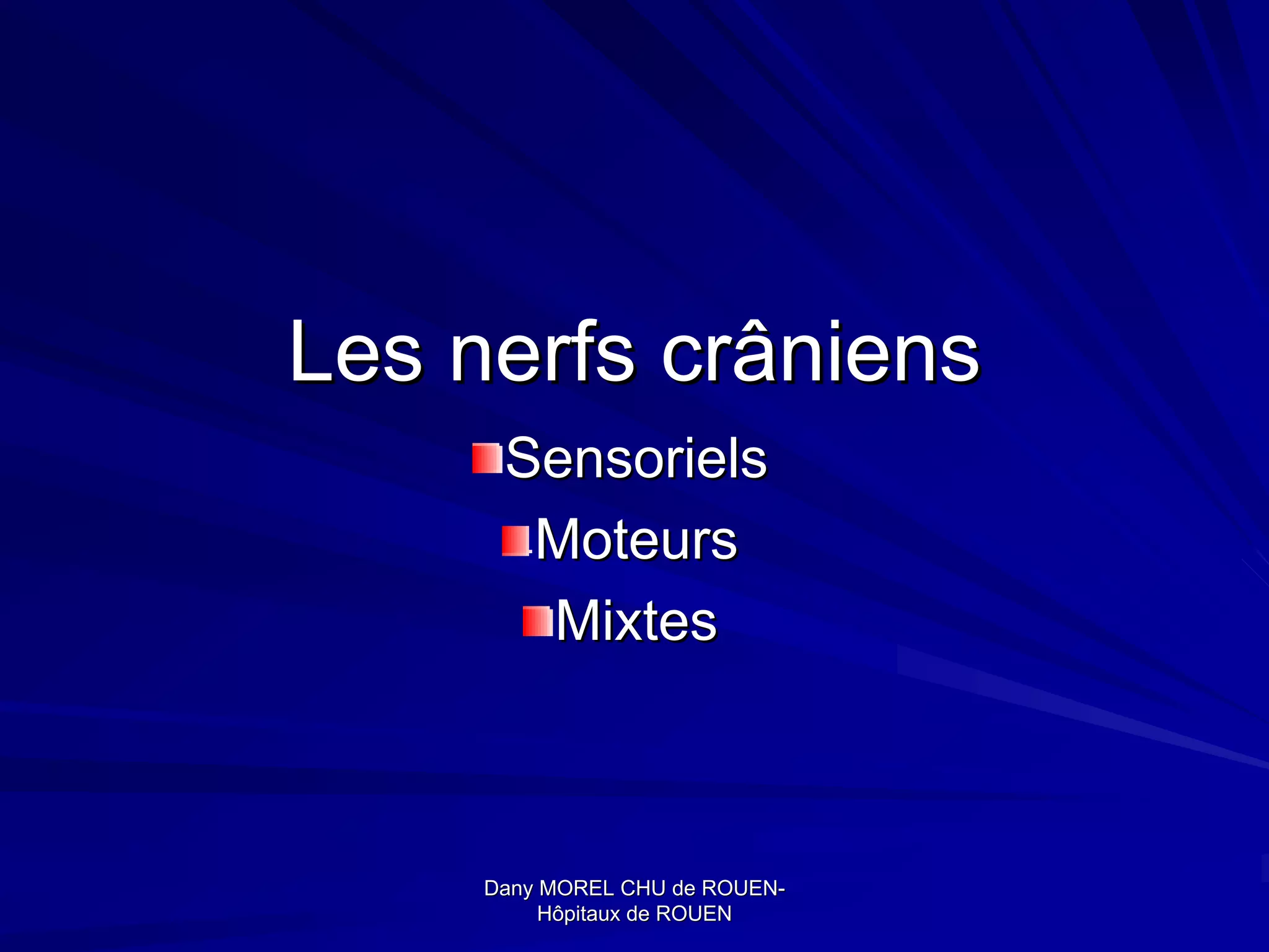 Nerfs-craniens-4-2048.jpg