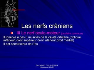 Les nerfs crâniens
         III Le nerf oculo-moteur (oculaire commun)
Il innerve 4 des 6 muscles de la cavité orbitaire (oblique
inférieur, droit supérieur,droit inférieur,droit médial)
Il est constricteur de l’iris




                        Dany MOREL CHU de ROUEN-
                                            ROUEN-
                             Hôpitaux de ROUEN
 