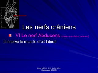 Les nerfs crâniens
       VI Le nerf Abducens (moteur oculaire externe)
Il innerve le muscle droit latéral




                     Dany MOREL CHU de ROUEN-
                                         ROUEN-
                          Hôpitaux de ROUEN
 