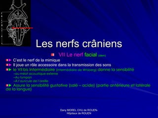 Les nerfs crâniens
                                  VII Le nerf facial (idem)
 ► C’est le nerf de la mimique
 ► Il joue un rôle accessoire dans la transmission des sons
 ► le VIl bis Intermédiaire (intermédiaire de Wrisberg) donne la sensibilité
    –au méat acoustique externe
    –Au tympan
    –À l’auricule de l’oreille
 ► Assure la sensibilité gustative (salé – acide) (partie antérieure et latérale
de la langue)




                                  Dany MOREL CHU de ROUEN-
                                                      ROUEN-
                                       Hôpitaux de ROUEN
 