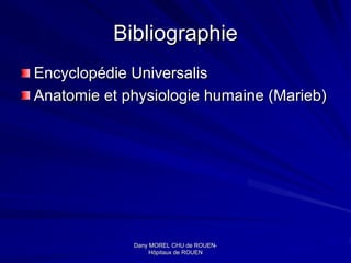 Bibliographie
Encyclopédie Universalis
Anatomie et physiologie humaine (Marieb)




             Dany MOREL CHU de ROUEN-
                                 ROUEN-
                  Hôpitaux de ROUEN
 