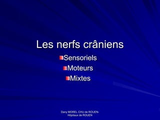 Les nerfs crâniens
      Sensoriels
       Moteurs
       Mixtes



     Dany MOREL CHU de ROUEN-
                         ROUEN-
          Hôpitaux de ROUEN
 