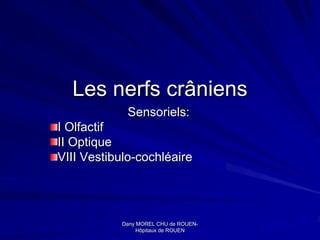 Les nerfs crâniens
            Sensoriels:
I Olfactif
II Optique
VIII Vestibulo-cochléaire




           Dany MOREL CHU de ROUEN-
                               ROUEN-
                Hôpitaux de ROUEN
 