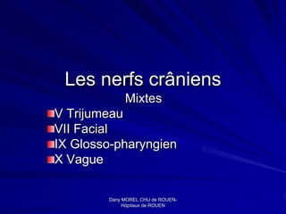 Les nerfs crâniens
              Mixtes
V Trijumeau
VII Facial
IX Glosso-pharyngien
X Vague

        Dany MOREL CHU de ROUEN-
                            ROUEN-
             Hôpitaux de ROUEN
 