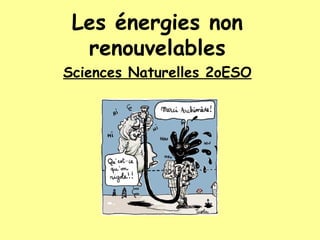 Les énergies non
  renouvelables
Sciences Naturelles 2oESO
 