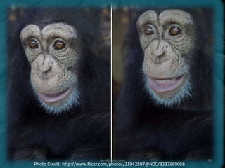 Photo Credit: http://www.flickr.com/photos/21042507@N00/3232969056
NeriMarcos.com 53
 