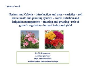 Nerium and Celosia - introduction and uses – varieties - soil
and climate and planting systems - weed, nutrition and
irrigation management – training and pruning –role of
growth regulators- harvest index and yield
Dr. M. Kumaresan
Assistant professor
Dept. of Horticulture
Adhiparasakthi Horticultural College
Lecture No.:8
 
