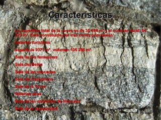 CaracterísticasCaracterísticas
●
La superficie total de la cueva es de 35 484 m² y el volumen total: 64La superficie total de la cueva es de 35 484 m² y el volumen total: 64
379 m³. Está constituida por tres zonas principales:379 m³. Está constituida por tres zonas principales:
●
Galerías turísticasGalerías turísticas
●
superficie 9371 m², volumen 106 286 m³superficie 9371 m², volumen 106 286 m³
●
Sala de los fantasmasSala de los fantasmas
●
Sala del BelénSala del Belén
●
Sala de las cascadasSala de las cascadas
●
Sala del CataclismoSala del Cataclismo
●
Sala de la TorcaSala de la Torca
●
Galerías altasGalerías altas
●
Sala de las columnas de HérculesSala de las columnas de Hércules
●
Sala de la inmensidadSala de la inmensidad
 