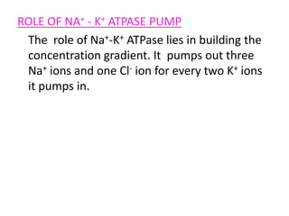 ROLE OF NA+ - K+ ATPASE PUMPThe  role of Na+-K+ ATPase lies in building the concentration gradient. It  pumps out three Na+ ions and one Cl- ion for every two K+ ions it pumps in.