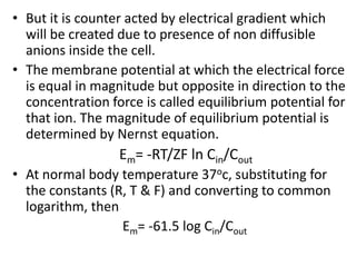 But it is counter acted by electrical gradient which will be created due to presence of non diffusible anions inside the cell.The membrane potential at which the electrical force is equal in magnitude but opposite in direction to the concentration force is called equilibrium potential for that ion. The magnitude of equilibrium potential is determined by Nernst equation. 				Em= -RT/ZF ln Cin/Cout At normal body temperature 37oc, substituting for the constants (R, T & F) and converting to common logarithm, then			 Em= -61.5 log Cin/Cout