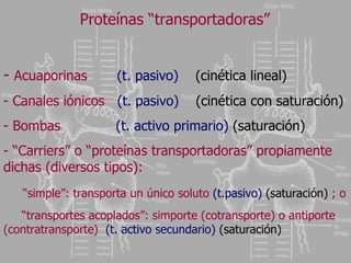 Proteínas “transportadoras” Acuaporinas  (t. pasivo)  (cinética lineal) Canales iónicos  (t. pasivo)  (cinética con saturación) Bombas  (t. activo primario)  (saturación) “ Carriers” o “proteínas transportadoras” propiamente dichas (diversos tipos):  “ simple”: transporta un único soluto  (t.pasivo)   (saturación)  ; o “ transportes acoplados”: simporte (cotransporte) o antiporte (contratransporte)  (t. activo secundario)  (saturación) 