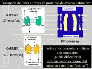 Transporte de iones a través de proteínas de diversa naturaleza: 10 2  iones/seg BOMBAS CARRIER < 10 3  iones/seg 10 6  iones/seg Todos ellos presentan cinéticas con saturación (puede dificultar la  diferenciación experimental   entre un  canal  y un “ carrier ”) 