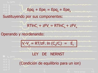 Epq i  + Epe i  = Epq e  + Epe e Sustituyendo por sus componentes:  RTlnC i  + zFV i  = RTlnC e  + zFV e Operando y reordenando:  V i -V e  = RT/zF. ln (C e /C i )  =  E x LEY  DE  NERNST (Condición de equilibrio para un ion)  