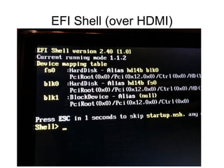EFI Shell (over HDMI)
 