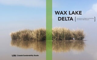 Architecture of (Wet)Land Building 2
WAX LAKE
DELTA [ 	 ]Architecture of [Wet] Land Building
LSU ARCH 7004 Research
 