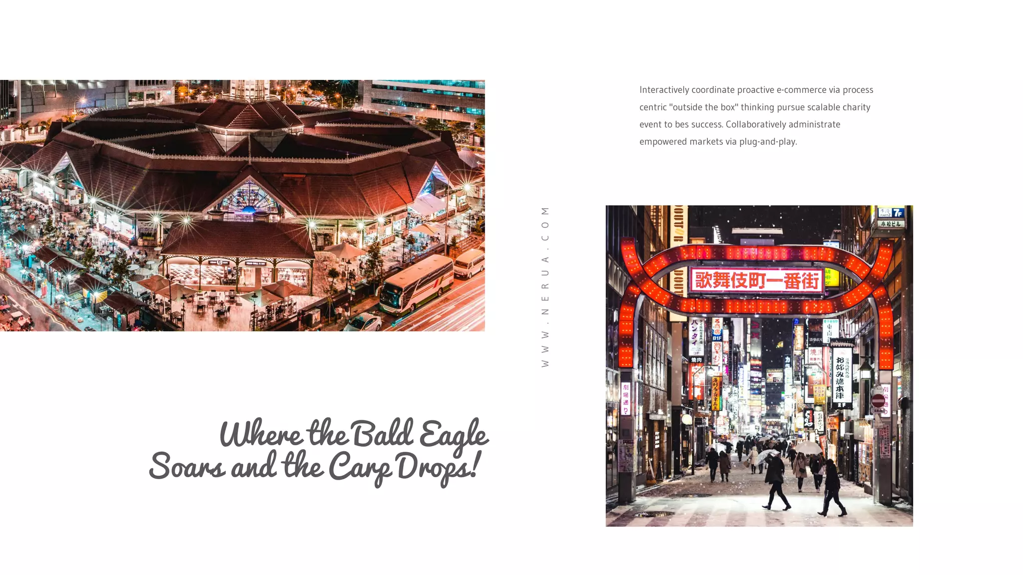 Interactively coordinate proactive e-commerce via process
centric "outside the box" thinking pursue scalable charity
event to bes success. Collaboratively administrate
empowered markets via plug-and-play.
W
W
W
.
N
E
R
U
A
.
C
O
M
Where the Bald Eagle
Soars and the Carp Drops!
 