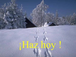 ¡Haz hoy !
 