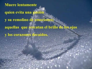 Muere lentamente quien evita una pasión  y su remolino de emociones; aquellas  que rescatan el brillo de los ojos y los corazones decaídos. 