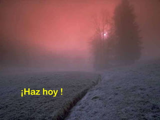 ¡Haz hoy ! 