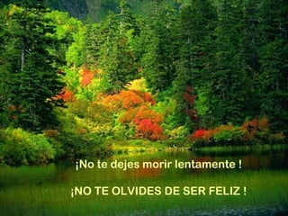 ¡No te dejes morir lentamente ! ¡NO TE OLVIDES DE SER FELIZ ! 