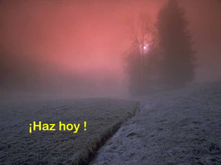 ¡Haz hoy ! 