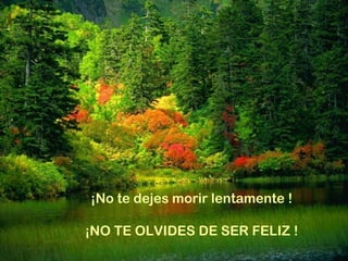 ¡No te dejes morir lentamente ! ¡NO TE OLVIDES DE SER FELIZ ! 