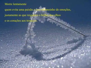 Morre lentamente
quem evita uma paixão e seu redemoinho de emoções,
justamente as que resgatam o brilho dos olhos
e os corações aos tropeços.
 