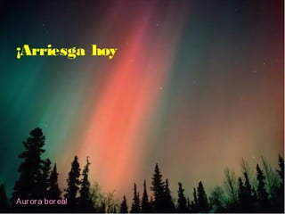 ¡Arriesga hoy
Aurora boreal
 