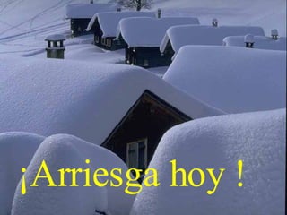 ¡Arriesga hoy !