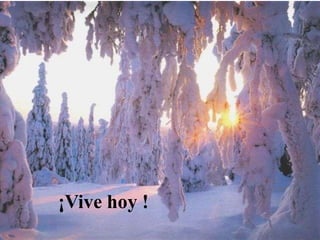 ¡Vive hoy !
 
