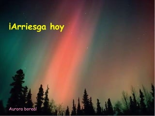¡Arriesga hoy




Aurora boreal
 